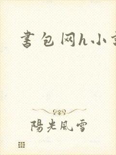 书包网h小说