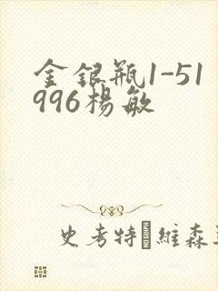 金银瓶1-51996杨敏封面