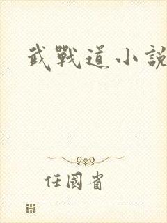 武战道小说