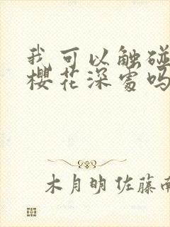 我可以触碰你的樱花深处吗