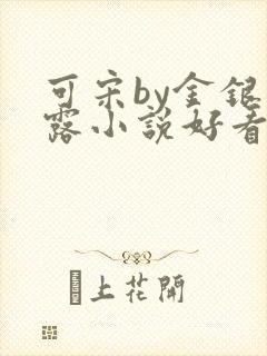可宋by金银花露小说好看吗