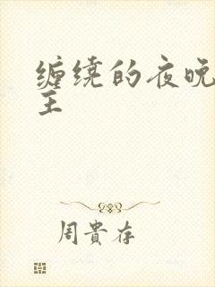 缠绕的夜晚双男主封面