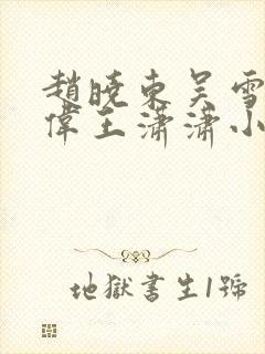 赵晓东吴雪晴郑伟王潇潇小说