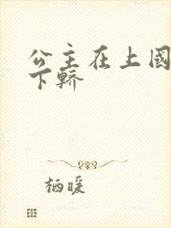 公主在上国师请下轿封面