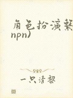 角色扮演系统(npn)