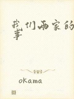 我们两家的荒唐事