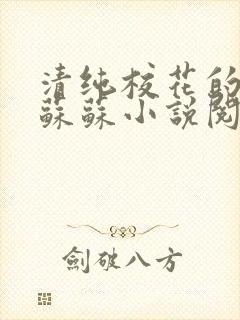 清纯校花的日常苏苏小说阅读全文