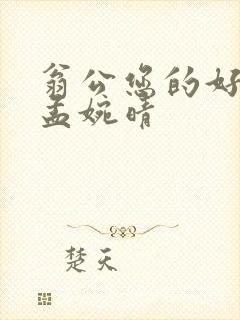 翁公您的好长呀孟婉晴