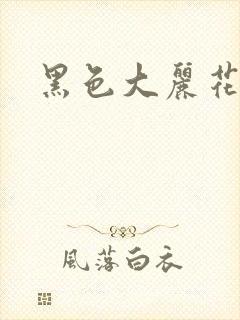 黑色大丽花图片