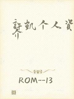 许凯个人资料简介