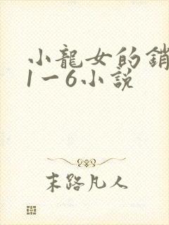 小龙女的销魂夜1一6小说