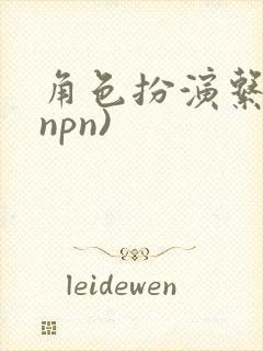 角色扮演系统(npn)