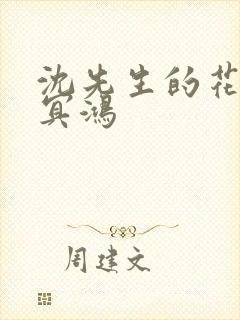 沈先生的花式调冥鸿