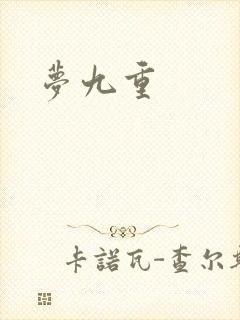 梦九重封面