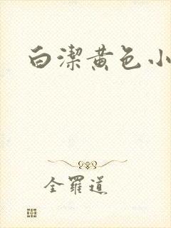 白洁黄色小说