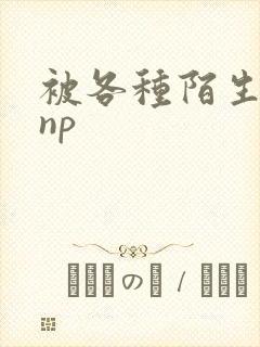 被各种陌生人 np