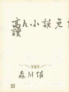 高h小说免费阅读