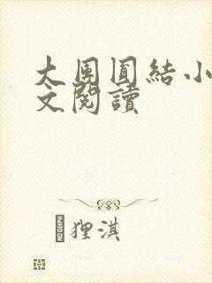 大团圆结小茹全文阅读