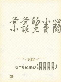 爸爸的小心肝儿小说免费阅读封面