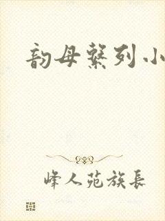 韵母系列小说封面