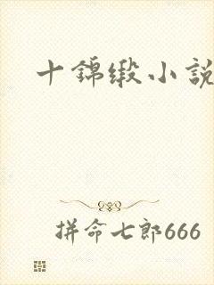 十锦缎小说