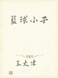 篮球小子封面