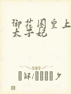 御花园皇上撞着太子妃封面