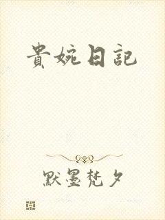 贵婉日记封面