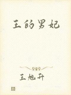 王的男妃封面