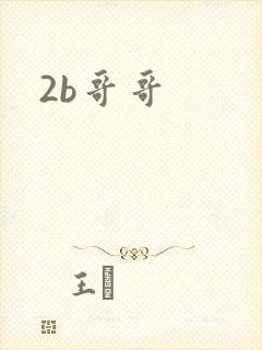 2b哥哥