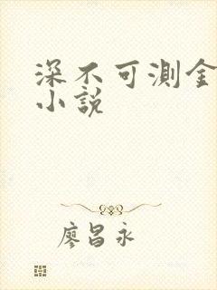 深不可测金银花小说