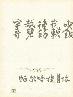 穿越后我吃到了哥儿的软饭炉山灰