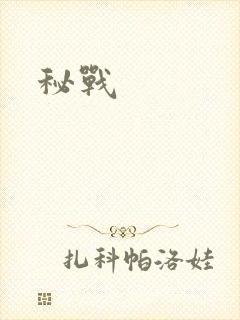 秘战封面