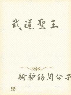 武道圣王