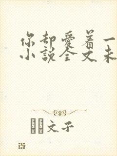 你却爱着一个他小说全文未删减免费