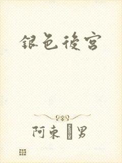 银色后宫