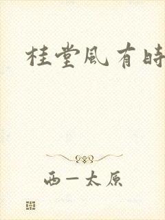 桂堂风有时封面
