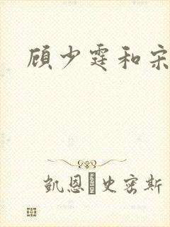 顾少霆和宋斯曼封面