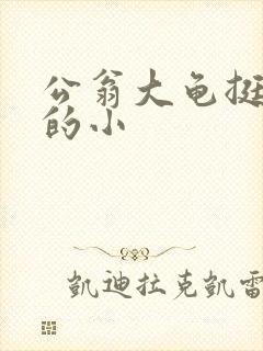 公翁大龟挺进我的小封面