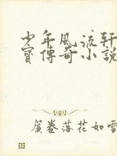 少年风流轩辕大宝传奇小说封面