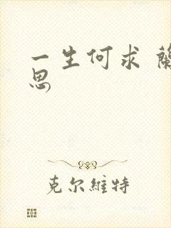 一生何求 兰思思封面