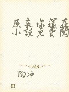 原来你还在这里小说免费阅读