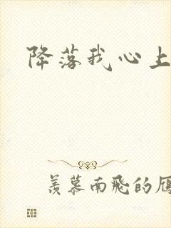 降落我心上封面