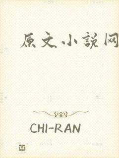 原文小说网封面