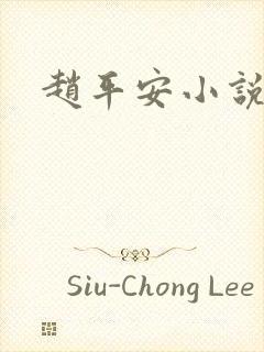 赵平安小说主角