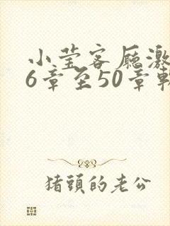 小莹客厅激情46章至50章软件介绍