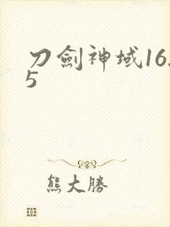 刀剑神域16.5