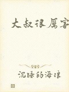 大叔很厉害封面