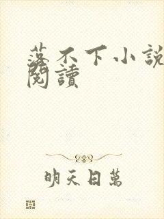 落不下小说免费阅读