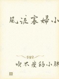 风流寡妇小说封面